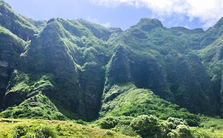 Exploring the Iconic Filming Locations of Jurassic Park: Where Dinosaurs Roamed and Adventure Awaits - Backlot Candles